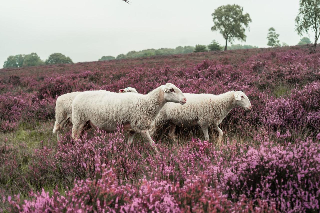 Veluwe Hotel De Beyaerd Hulshorst Luaran gambar